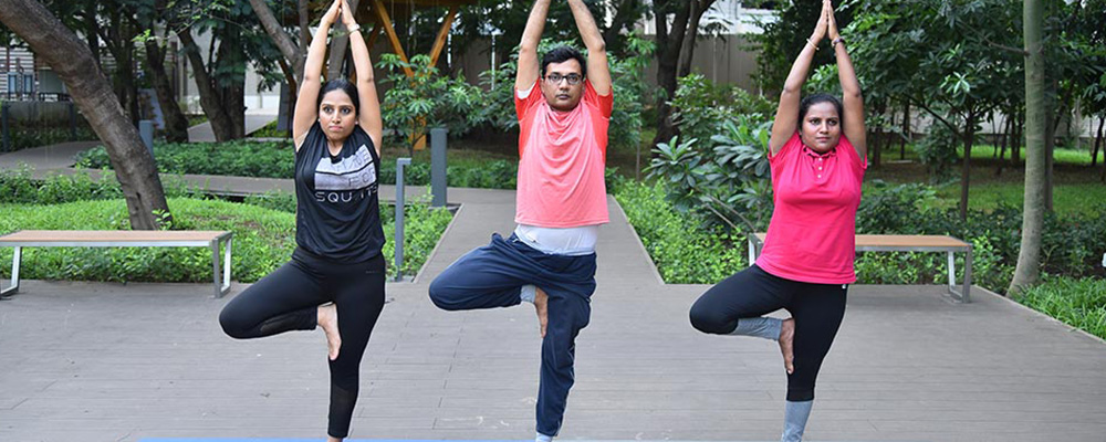 International Yoga Day