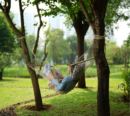 Palava City  nature-led urban living