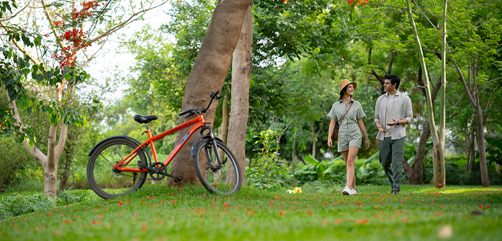 Casa Olivia, Palava – Tree-lined walking and cycling trails across the township