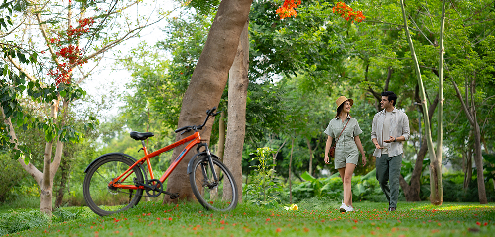 Palava Ready Homes – Tree-lined walking and cycling trails across the township