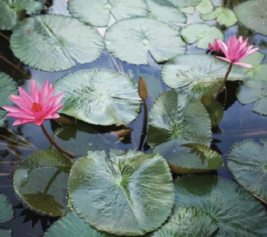 Lodha Industrial Park -  Sustainable standards